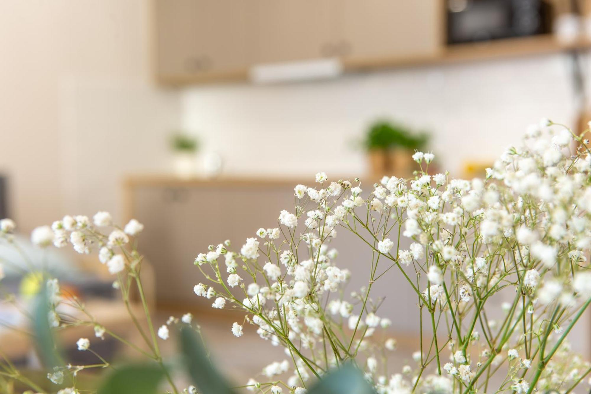 Apartamenty Kdn Na Rysiej Katowice Buitenkant foto